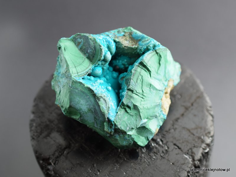 duży okaz chryzokoli na malachicie